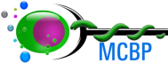 Description: Medical Cell BioPhysics Logo