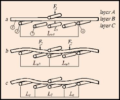 TEMLOP principle