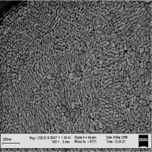 Contranst enhancement of photoacoustics using gold nanoparticles