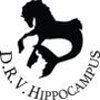 Picture of Horseback riding