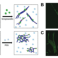 Article published within the research group of Jurriaan Huskens in SMALL