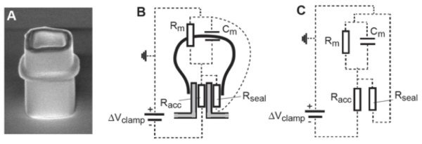 Nanoneedle and corresponding electrical circuit when attached to a cell