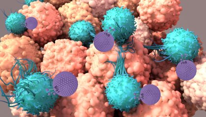 Door UT ontworpen nanodeeltjes trainen immuuncellen om kanker te bestrijden