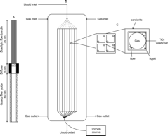 PhotoCatalysis