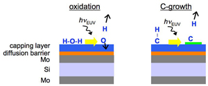 surface contamination mechanisms of oxidation and carbon growth