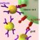 A consortium of laboratories has secured a grant from the first IOP for Photonic Devices