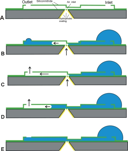 Figure 2: longitudinal cross section of a microchannel explaining the principle of operation of the bubble pump. (A) The microchannel includes a liquid inlet and outlet and a gas injector. The injector is located at the position where the channel height changes. (B) Injected gas will move toward the higher channel part, because there the capillary counter pressure is lowest. (C) Once the gas reaches the outlet it will flow out of the microchannel and a temporary gas flow is maintained. (D) When the gas pressure drops the microchannel will refill by capillary forces. (E) Fully filled