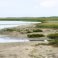 SALTGARDEN project to enhance the resilience of the Wadden Sea