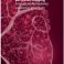 PhD Defence Marije Kamphuis | Quantitative Myocardial Perfusion Imaging - A Novel Multimodality Validation Phantom