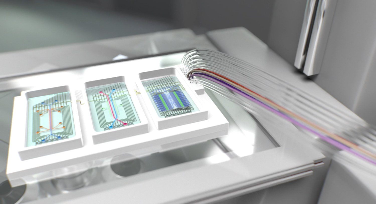 Organonchip project receives huge grant to make the leap from lab to fab