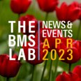 Newsletter banner with The BMS Lab on the right and news and events April 2023 on the right, on a background with red tuplips.
