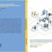 Promotie Ridwan Saptoto | Which job resources alleviate perceived incivility for employee thriving and performance? - Time-lagged survey research