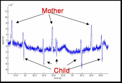 The graph shows the measured MCG signal (mother and child).