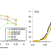 Publication on short-period multilayers for wavelength-dispersive X-ray fluorescence