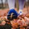 Running Therapy voor EEMCS studenten