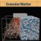 Granular Matter Webinar Series