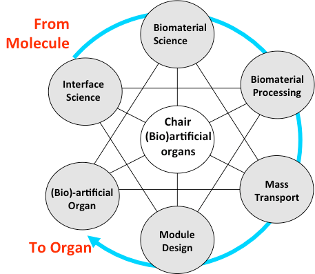 disciplines within (bio)artificial organs