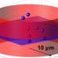 Slow diffusion in spatial confinement