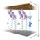 Solid state molecular switches