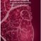 Promotie Marije Kamphuis | Quantitative myocardial perfusion imaging - A novel multimodality validation phantom
