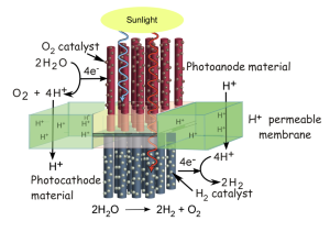 http://mmrc.caltech.edu/BB/Membrane%20bb3.png