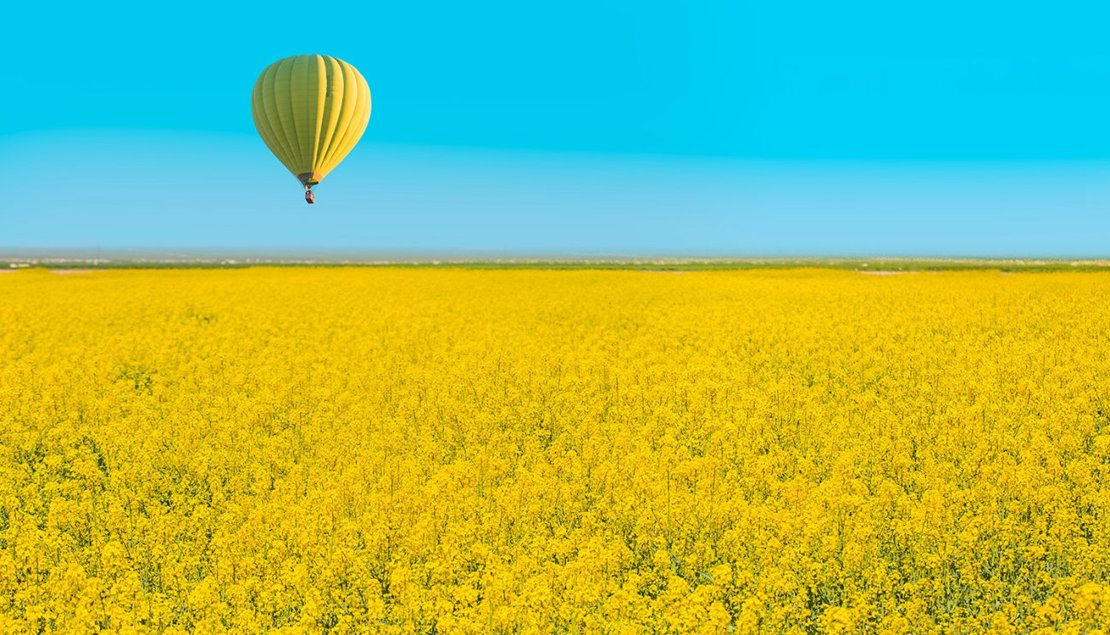 Gele luchtballon tegen blauwe lucht boven veld met gele bloemen.