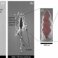 Microstructures on the surface and in the bulk of sapphire substrates