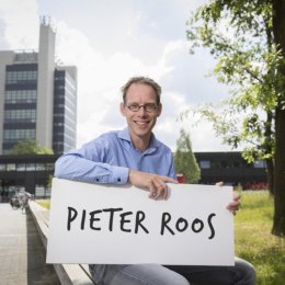 Dr. ir. Pieter Roos