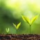 UT Climate Centre Call for Proposals