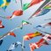 Nieuwsupdate over internationalisering in het hoger onderwijs in Nederland