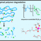 The SPC paper 'Reducing plastic pollution by adding RNA-inspired ‘breaking points’ has been accepted