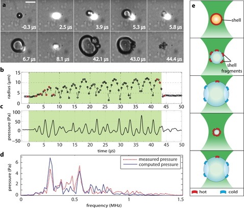 D:\My Documents\MY WORK\ADMINISTRIVIA\WEBPAGE\NEWs\2014\fig2_Lajoinie_et_al_NCOMMS_final.jpg