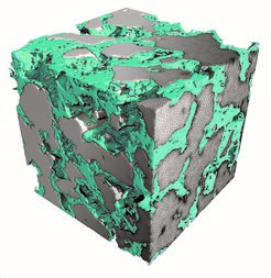 Gas diffusion electrode consisting of catalyst (grey) and polymer (green)