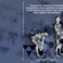 Promotie Alejandro Moya Esteban | Towards the adoption of wearable exoskeletons in occupational workspaces: model-based assessment and control of back-support exoskeletons