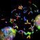 Eerste internationale Citizen Science for Health-conferentie
