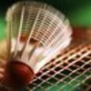 Picture of Badminton