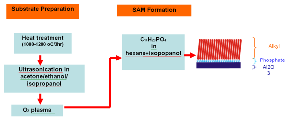 Typical procedure for SAM formation on substrate surface.