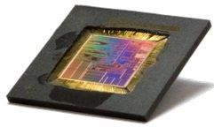 chip.jpg