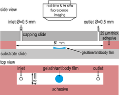 D:\Profiles\ZhangX4\Desktop\Figure\chapter 2\schematic drawing\PhD project.tif