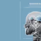 Promotie Eva de Krijger-Feringa | Emotional Awareness: Compassion as a means to promote the sustainable mental health of military personnel
