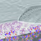40th European Membrane Society Summerschool