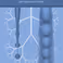Promotie Jan Siemen Smink | On the dynamics of jets and branched fluidic networks