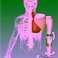 Prosthesis model-based myoelectric control