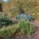 Koude bak,  tuin 17+19
