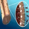 Three-dimensional porous hollow fibre copper electrodes for efficient and high-rate electrochemical carbon dioxide reduction