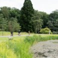 Entrance to pinetum the Horstlanden