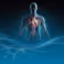 Cardiovascular Health Technology Centre: Lanceringsevenement