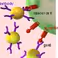 A consortium of laboratories has secured a grant from the first IOP for Photonic Devices