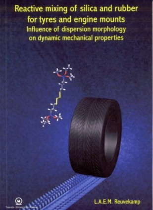 Thesis of Louis Reuvekamp