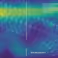 PhD Defence Hadi Mirgolbabaee | Endovascular repair of the aorta: Flow quantification of limb hemodynamic parameters